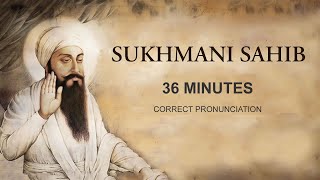 Sukhmani Sahib FAST 36 minutes Shudh Ucharan Taksali Singh [upl. by Jane]