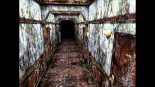 silent hill 2 lake view hotel black fairy ingame [upl. by Strickland601]