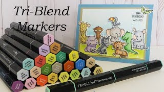 Spectrum Noir TriBlend Marker Review amp Coloring Tutorial [upl. by Huesman]