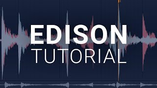 How To Use The Edison  FL Studio Tutorial [upl. by Viv]