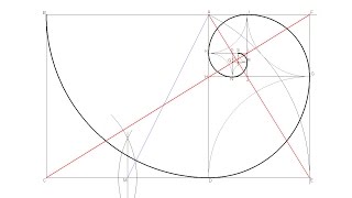 How to draw a Golden Ratio Spiral [upl. by Haelam]