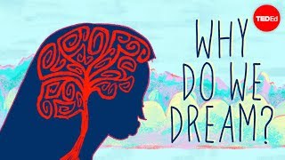 Why do we dream  Amy Adkins [upl. by Aillimat]