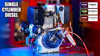 Single Cylinder Diesel Engine  Dyno Test Diesel BioDiesel amp HydroDiesel How Much HP [upl. by Eniak]