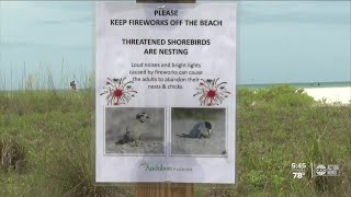 What fireworks does to local wildlife and beaches [upl. by Ailati]