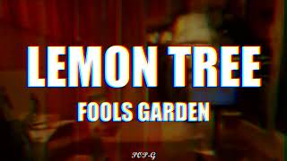 Lemon tree letraLyrics  Fools Garden [upl. by Joletta]