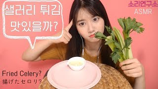 셀러리 튀기면 맛있을까소리연구소 ASMR샐러리 이팅사운드꿀꿀선아suna asmr한국어 asmr [upl. by Noret]