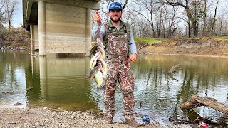 Crappie Fishing From The Bank Catch Clean Cook They Were STACKED [upl. by Yodlem]