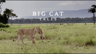 Big Cat Tales Season 2 Trailer [upl. by Hanoj683]