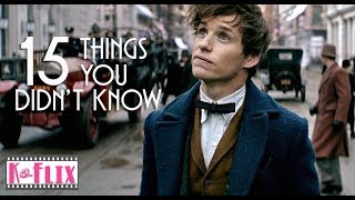 15 Things You Didnt Know About Fantastic Beasts and Where To Find Them  Easter Egg  Spoiler [upl. by Rodmur519]