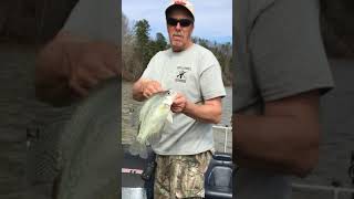 Tennessee River crappie fishing [upl. by Anitsirhc]