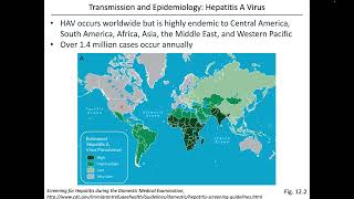 Virology Chapter 12 Part 1 Hepatitis Viruses [upl. by Mellins921]