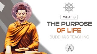 Buddhism What is The Purpose of Life [upl. by York303]