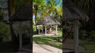 🇩🇴 Catalonia Bavaro Beach Punta Cana Dominican Rep 🌴shortsvideo shorts shortvideo travel [upl. by Pussej]