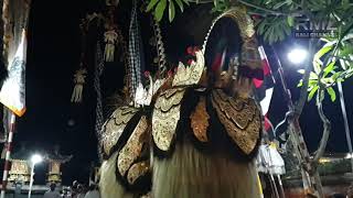 Sesolahan Barong Ket pura Puseh desa adat cemagi [upl. by Tucky]