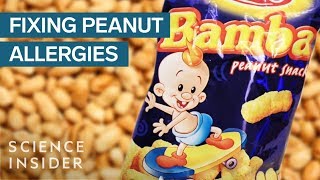 Why Hardly Anyone In Israel Is Allergic To Peanuts [upl. by Derreg850]