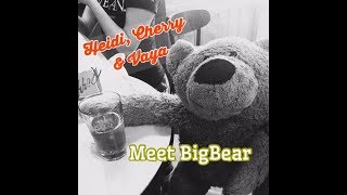 Fun Bedtime Story For Kids  Heidi Cherry amp Vaya Meet BigBear [upl. by Mauchi]