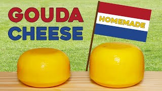 Making Gouda Cheese at Home Homemade Baby Gouda Cheese [upl. by Aeslehc63]