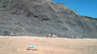 Charmouth Fossil Hunting [upl. by Abigail]