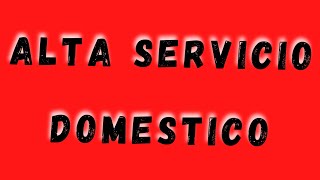 ☄️ALTA EMPLEADA DOMESTICA AFIP  REGISTRAR EMPLEADA DOMESTICA👍tutorialesafip [upl. by Haodnanehs]