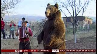 Brown dancing bear sanctuary Bulgaria  BBC News  4th August 2018 [upl. by Gerik]