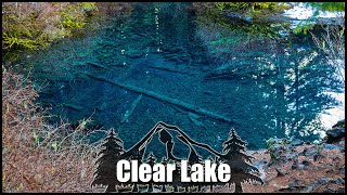 Clear Lake The Underwater Forest Oregon [upl. by Ellivro]