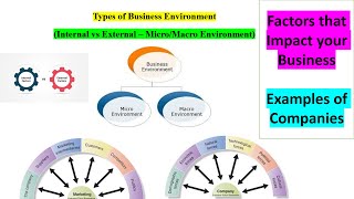 Types of Business Environment Internal External Micro amp Macro with Examples  MBABBABComLLB [upl. by Godred]