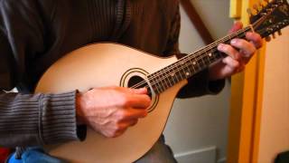 Irish mandolin lessons The Gravel Walk reel [upl. by Leirbag224]