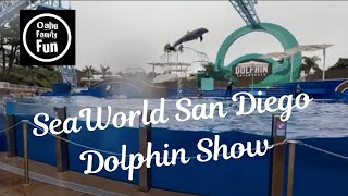 Dolphin Adventures SeaWorld San Diego Full Show [upl. by Huoh910]