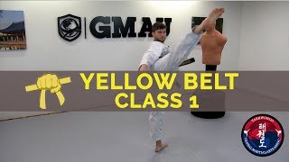 Taekwondo Follow Along Class  Yellow Belt  Class 1 [upl. by Gaves365]