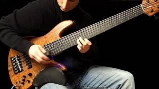 6 String Fretless Bass with Ebow amp Boss Loop Station  ‘Eclipse’ [upl. by Augustina]