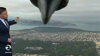 Bird photobombs weather report  KTVU [upl. by Prober]