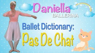 Pas De Chat  Kids Ballet Class [upl. by Llerdnod]