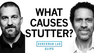 What Causes Stuttering amp Treatment for Stutter  Dr Erich Jarvis amp Dr Andrew Huberman [upl. by Carry140]