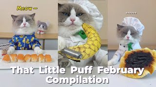 That Little Puff Compilation  February collection [upl. by Neellek]