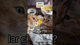 foryou meme capcut memesvideo viral viralvideo video rapid funny amuzant [upl. by Ahsena]