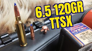 Barnes 120gr TTSX 65x284 Review [upl. by Desirea]