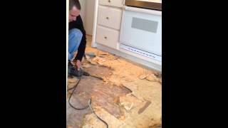 How do you remove particleboard subfloor [upl. by Tdnarb355]