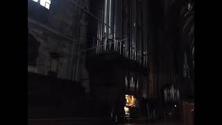 Davy Jones Theme  Vienna main cathedral organ [upl. by Etselec450]