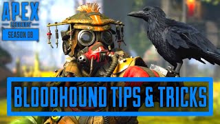 5 Bloodhound Tips You NEED To Use [upl. by Elacim769]