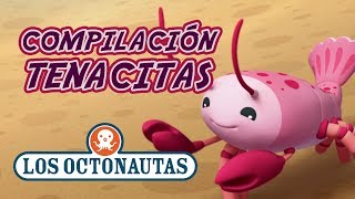 Los Octonautas Oficial En Español  Compilación Tenacitas  Con Crustáceos Y Caracoles [upl. by Enitsej396]