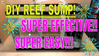 DIY Reef Tank Sump  29 Gallon Tank [upl. by Conlen573]