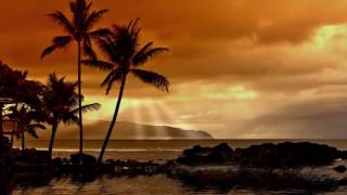 Hawaiian Islands Music Traditional Hawaiian Songs for Deep Relaxation [upl. by Upton]