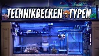 Welches TECHNIKBECKEN im MEERWASSERAQUARIUM  PlanktonPlus Aquaristik [upl. by Ilohcin]