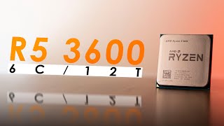 Ryzen 5 3600 in 2024  Best Budget CPU to Buy Right Now [upl. by Sophia]