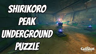 Shirikoro Peak Underground Puzzle  Genshin Impact [upl. by Polloch]