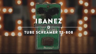 Ibanez TS808 Tube Screamer  Reverb Demo Video [upl. by Melbourne825]