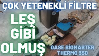 OASE BİOMASTER THERMO 350 DIŞ FİLTRE İNCELEMESİ ve İÇİNİ TEMİZLEDİK [upl. by Stilwell]