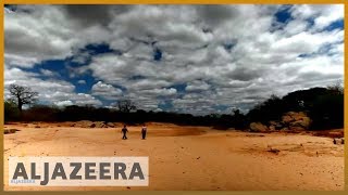 🇰🇪 earthrise  Fighting desertification in Kenya amp the remakery [upl. by Gnov]