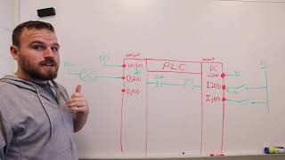 Allen Bradley PLC  Wiring Outputs [upl. by Flodur541]