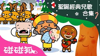 經典聖誕兒歌合集｜聖誕樹更多聖誕節歌曲🎄｜中英文兒童兒歌｜Merry Christmas  聖誕節快樂  碰碰狐PINKFONG [upl. by Pestana]